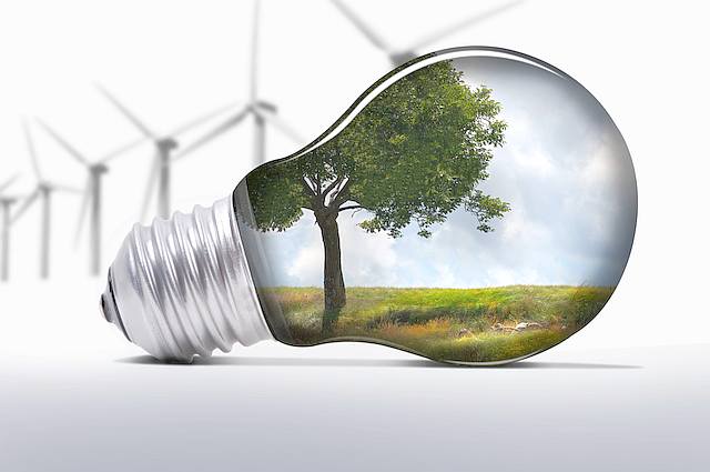 Environment